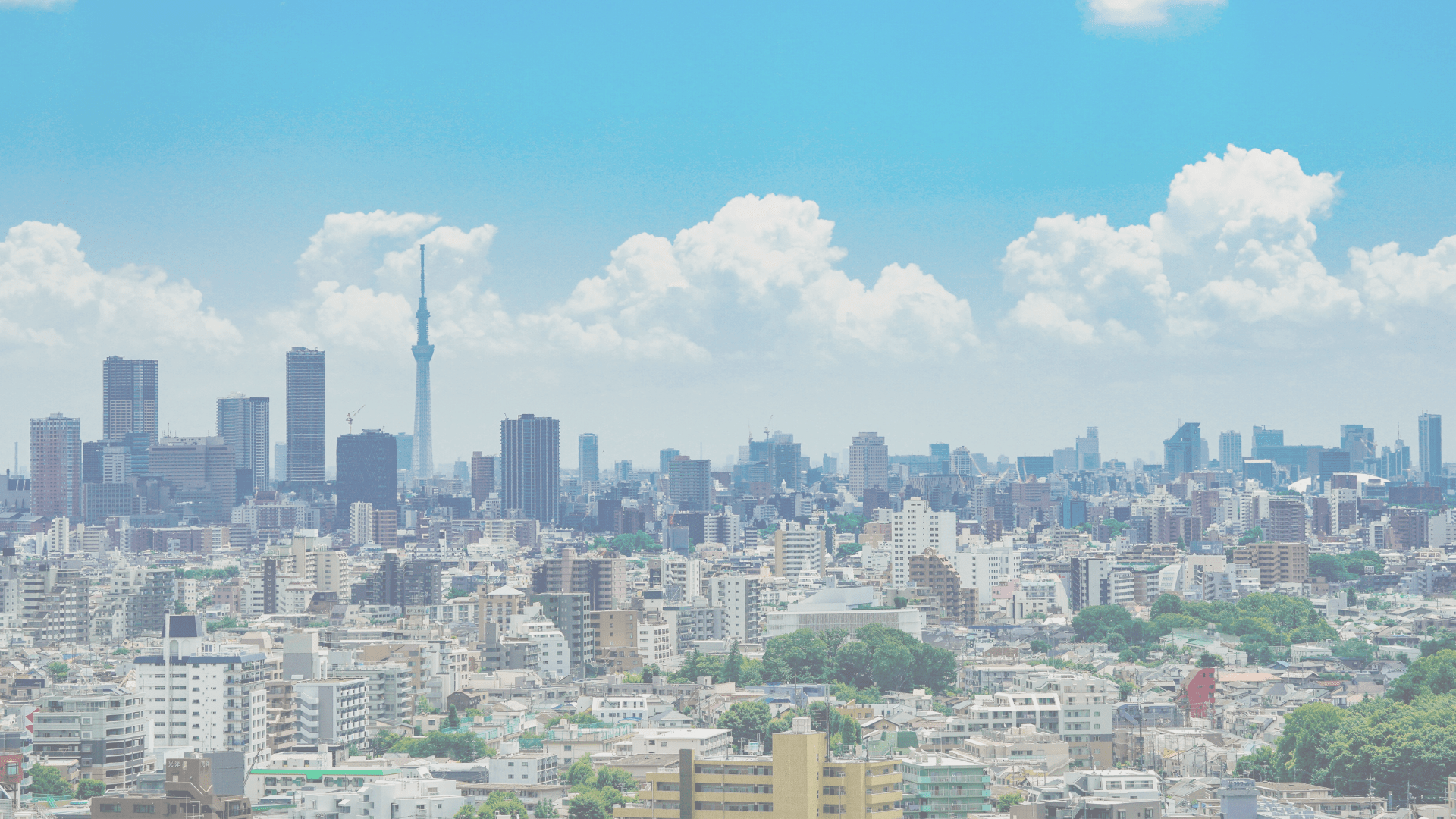 sake portfolio_ヘッダー画像